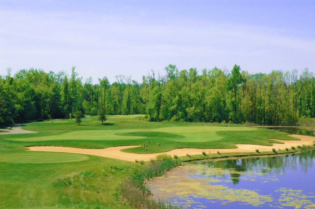 view of green with water and sand trap