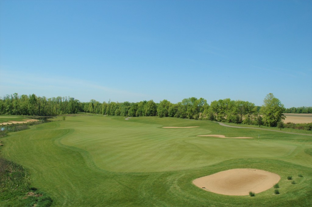 aerial view of green